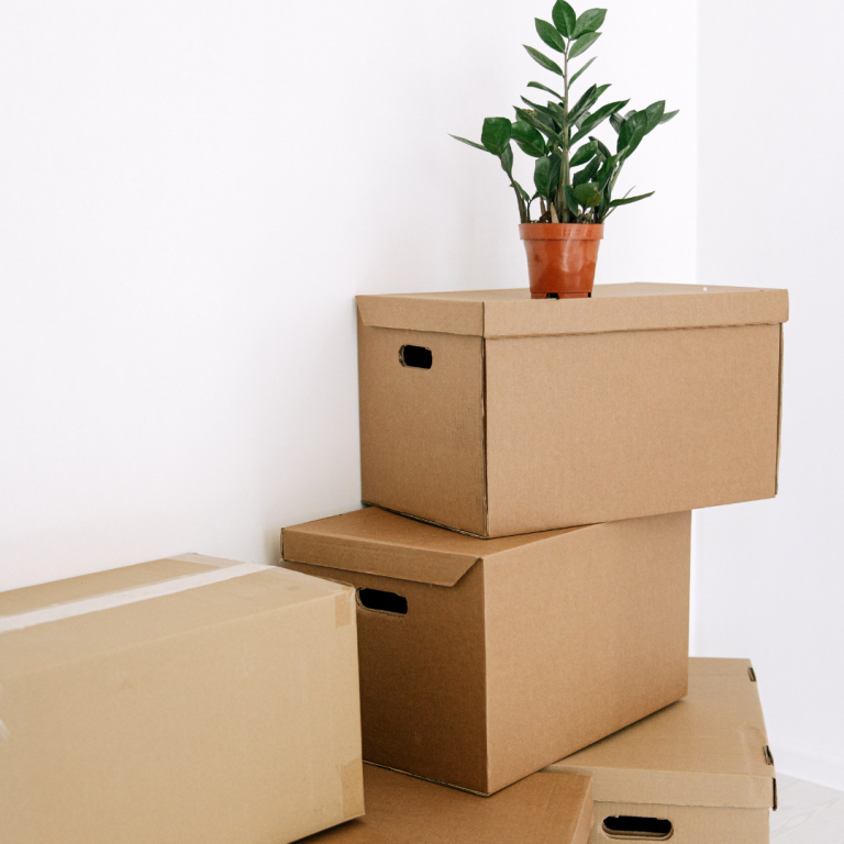 Important Details to Pack Fragile Items Safely During Moving